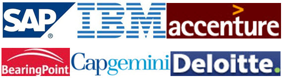  <b>优胜之道为五大咨询公司提供SAP功能的技术指导</b>