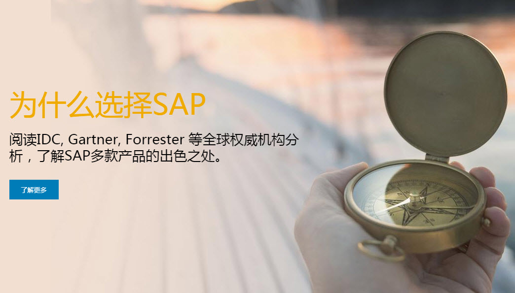 (1/3)SAP BPC企业绩效管理的最佳业务实践