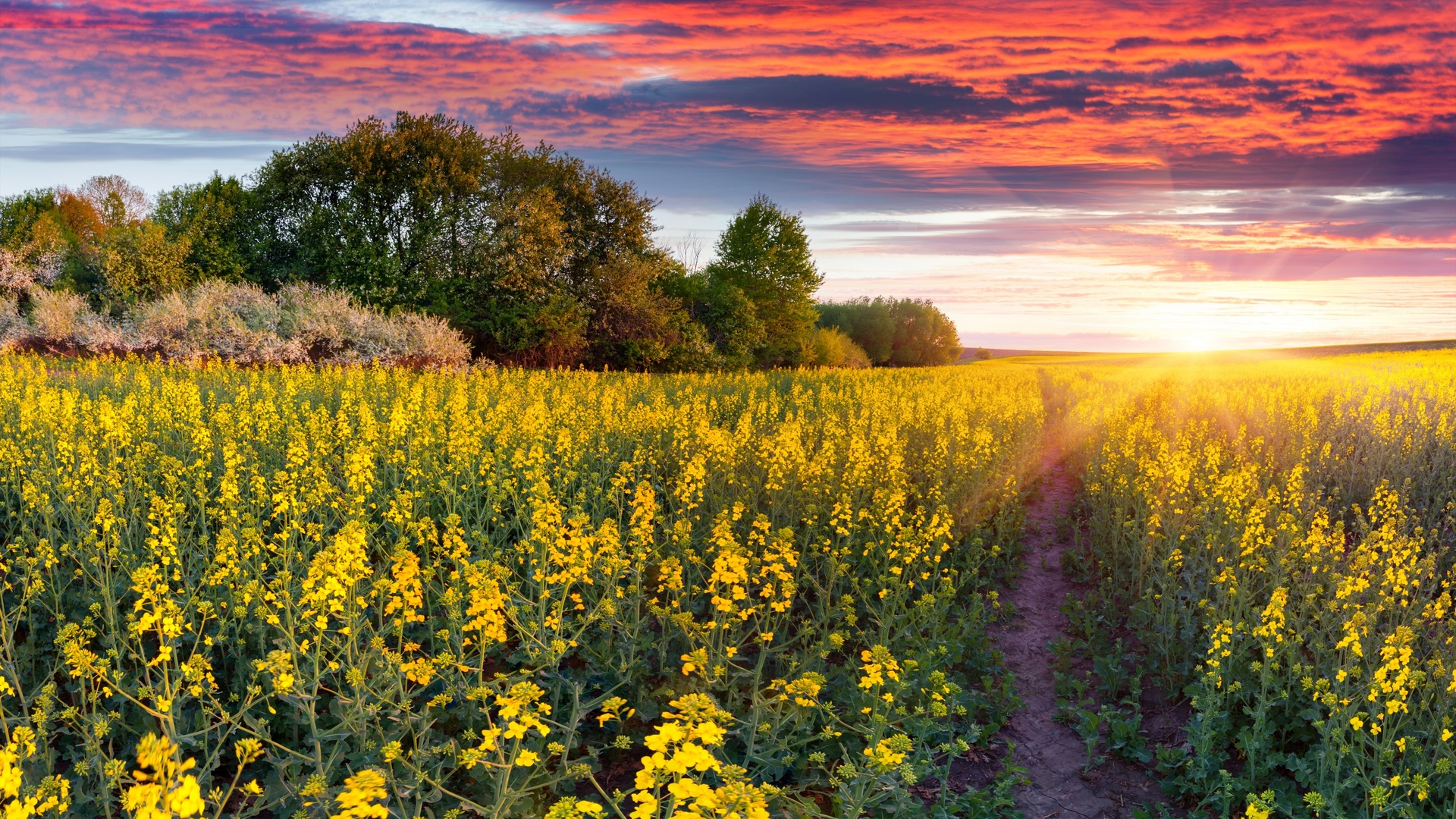 “智能制造”-中国制造2025的最大风口